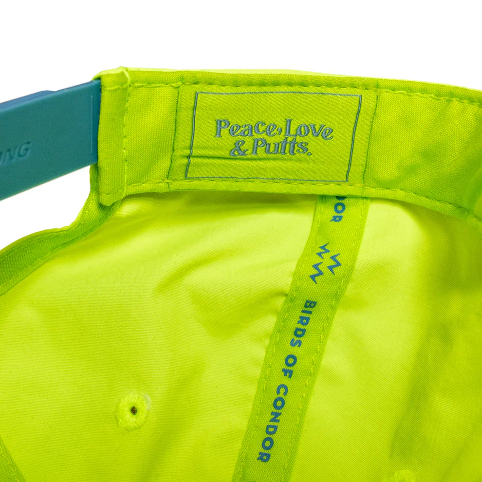 Birds Of Condor Ventura Snapback Hat - LIME - Image 2