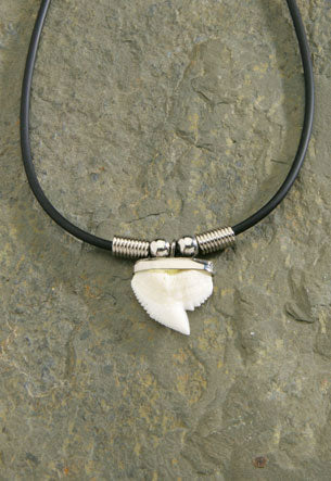 MAUNA KAI Rubber Cord Resin Shark Tooth - ASSORTED