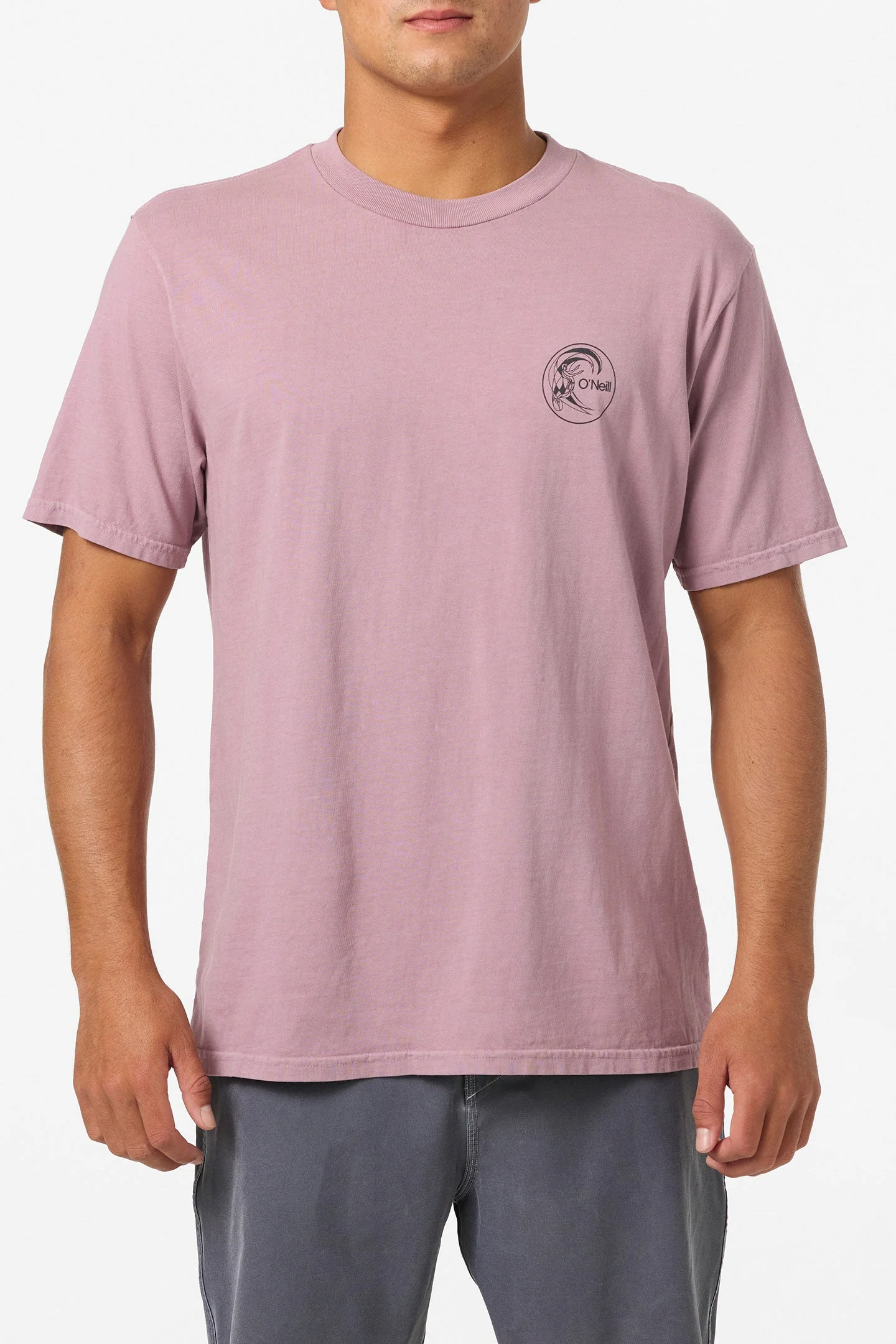 O`Neill O'Riginals 60'S Ad Relaxed Fit Tee - Toadstool - Image 2